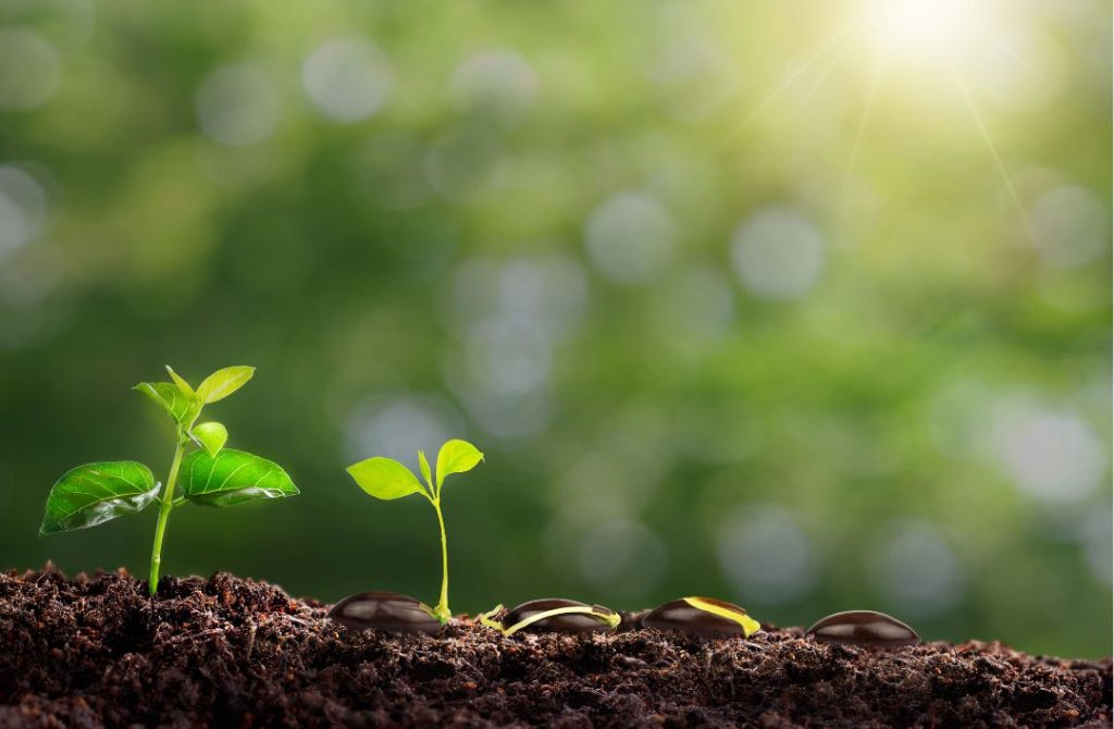 Soil Health Week Program on industrial hemp